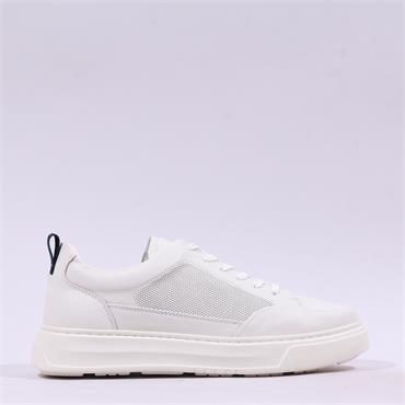 Tommy Bowe Dexcom Casual Laced Shoe - White
